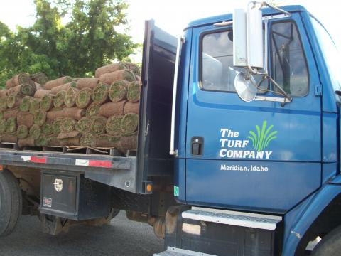 The Turf Company - Supporting Habitat Since Day One